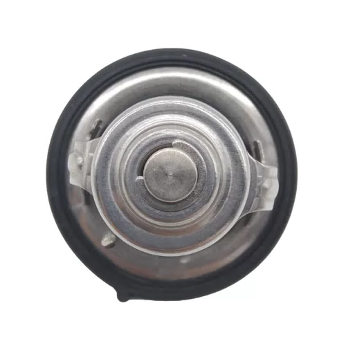 Engine Coolant Thermostat Assembly for Hyundai Tucson 25500-2E000 - image 6